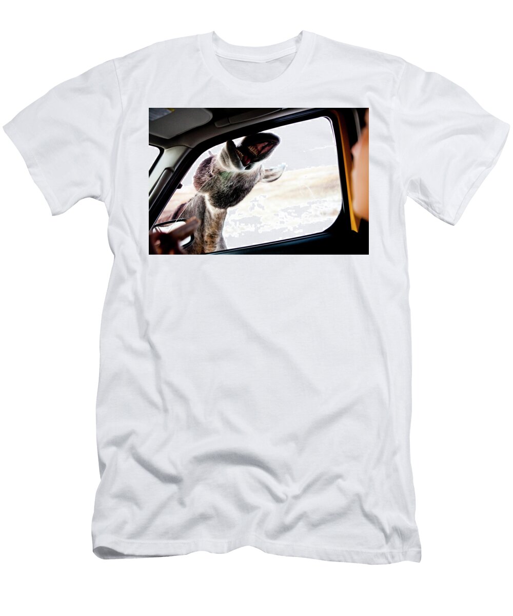 1 a Wild Donkey Begs for Treats Steve Glass T-Shirt