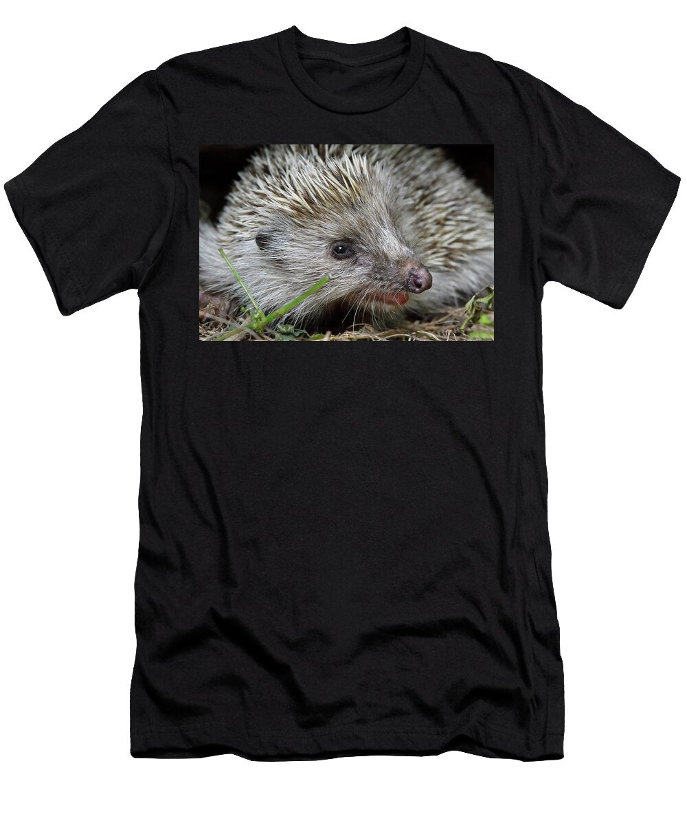 1 Amur Hedgehog East Lake Greenway Park Wuhan Hubei Staffan Widstrand Wild Wonders of China Natureplcom T-Shirt