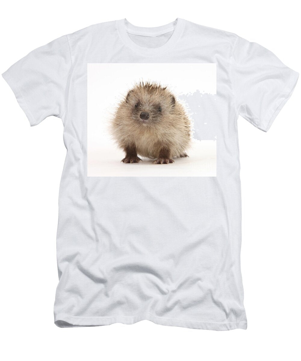1 Baby Hedgehog Mark Taylor T-Shirt