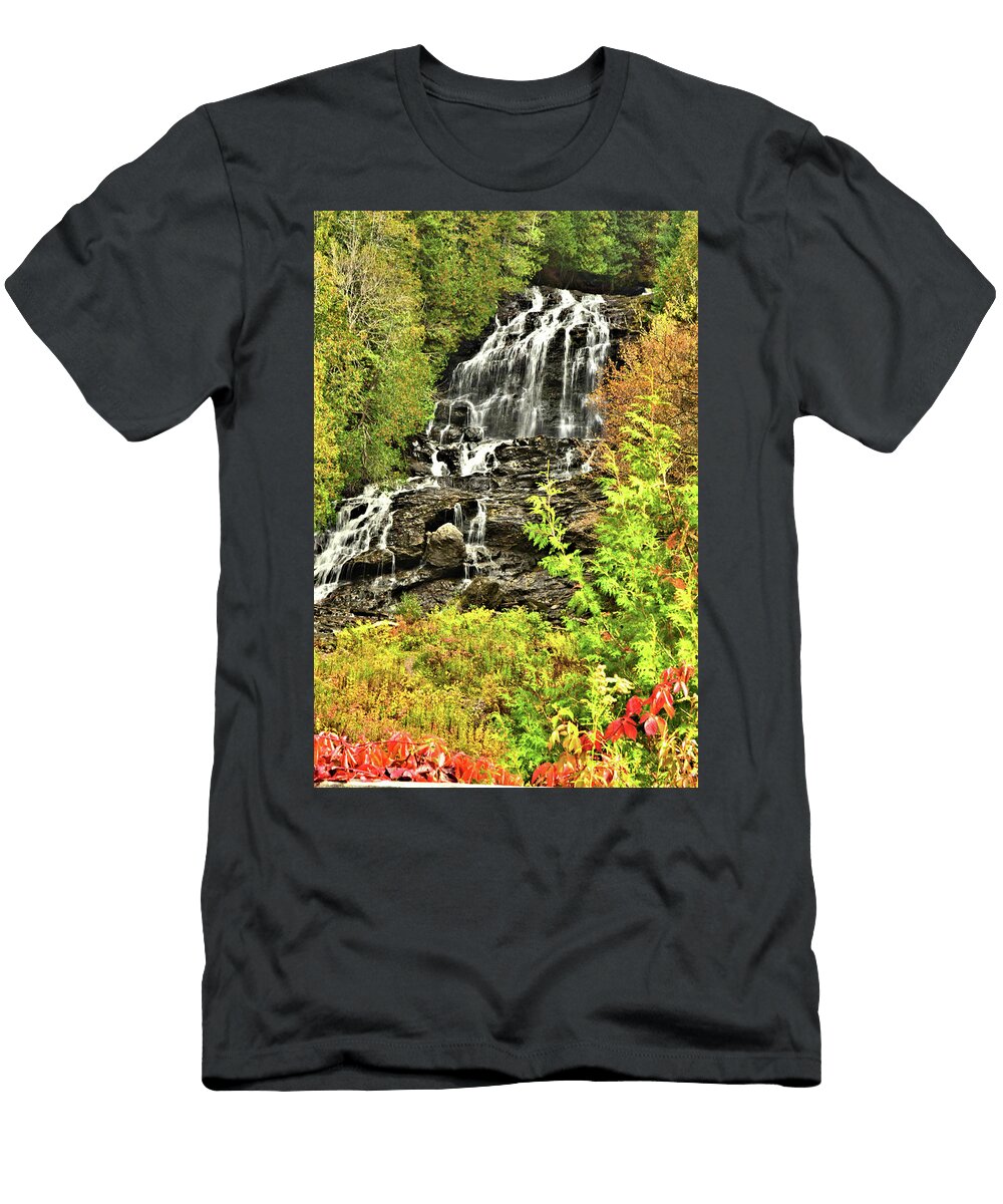 1 Beaver Brook Falls Catherine Reusch Daley T-Shirt