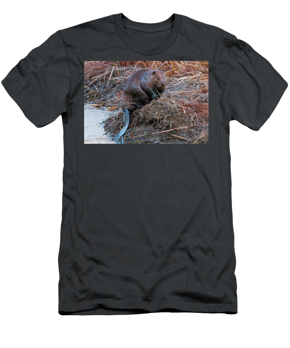 1 Beaver By the Riverbank Ken Kravetz T-Shirt