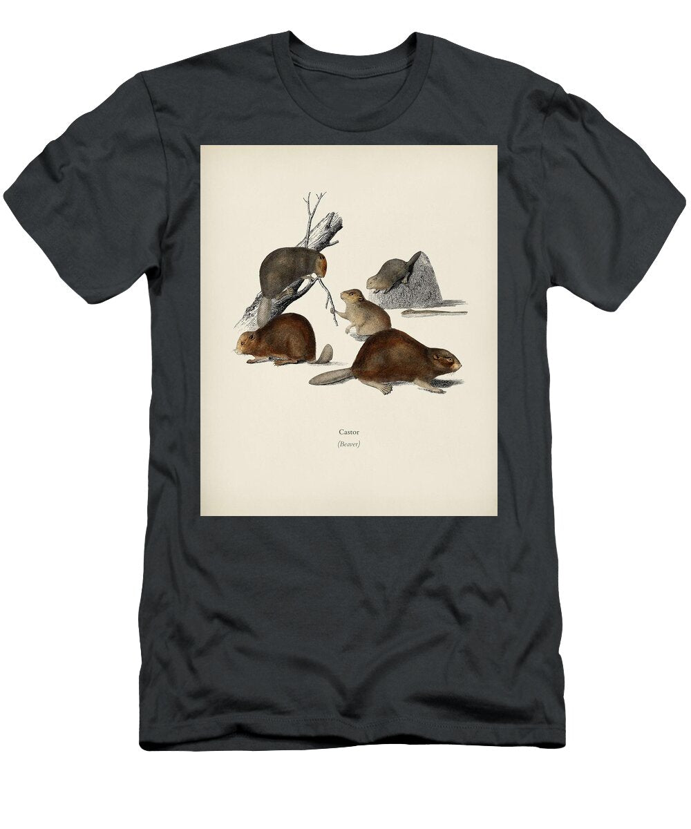 1 Beaver Castor Illustrated By Charles Dessalines D Orbigny 1806 1876 Celestial Images T-Shirt