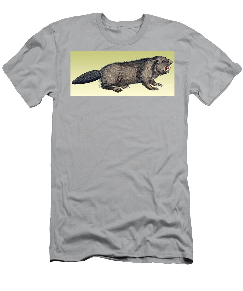 1 Beaver Historiae Animalium 16th Science Source T-Shirt