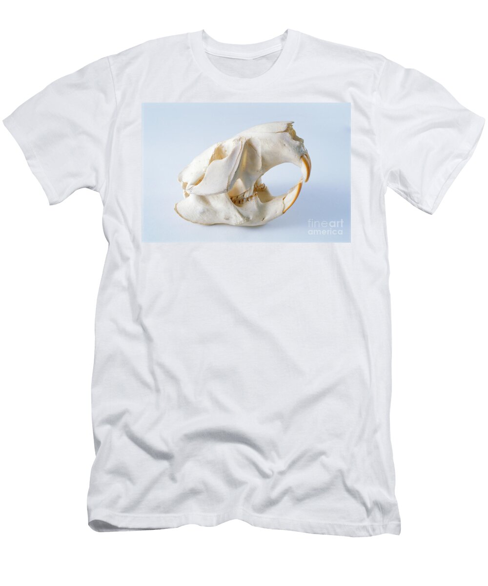 1 Beaver Skull Barbara Strnadova T-Shirt