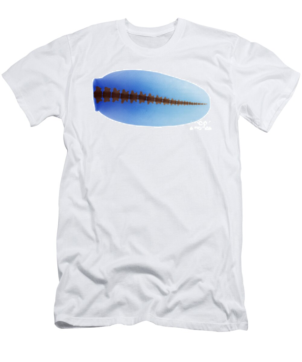 1 Beaver Tail X Ray Ted Kinsman T-Shirt