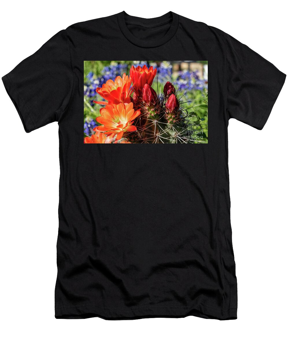 1 Blooming Cactus Flowers Bee Creek Photography Tod and Cynthia T-Shirt