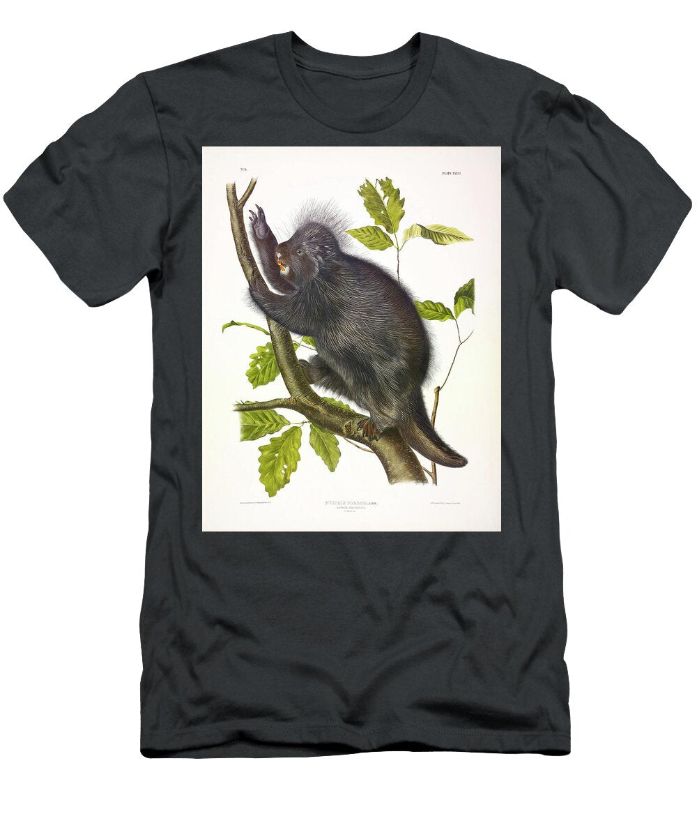 1 Canada Porcupine John James Audubon T-Shirt