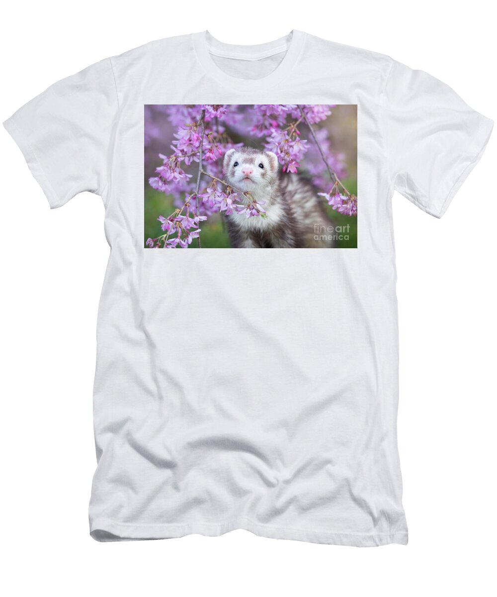 1 Cherry Dreams Darya Zelentsova T-Shirt