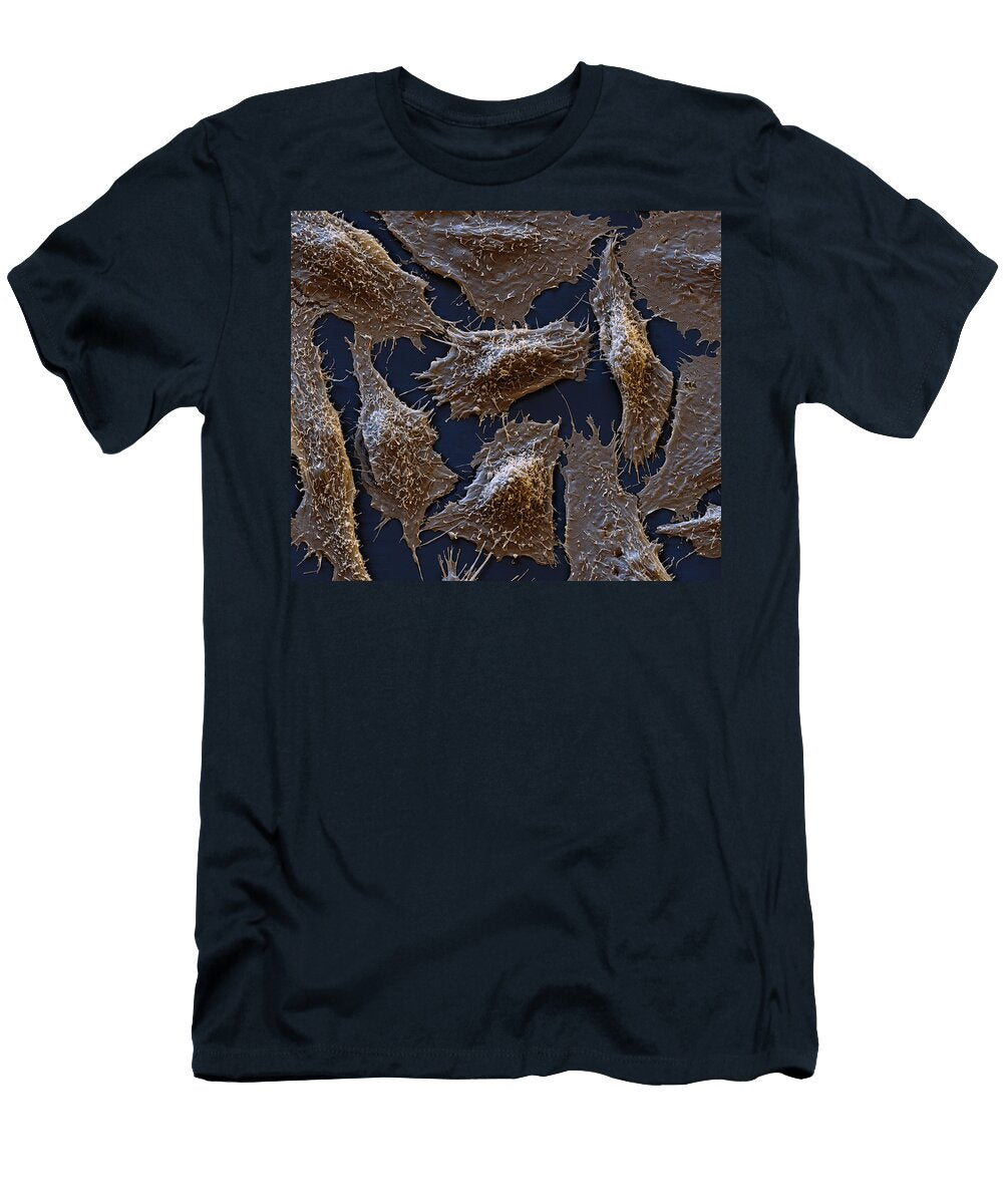 1 Cho Cells Sem Meckesottawa T-Shirt