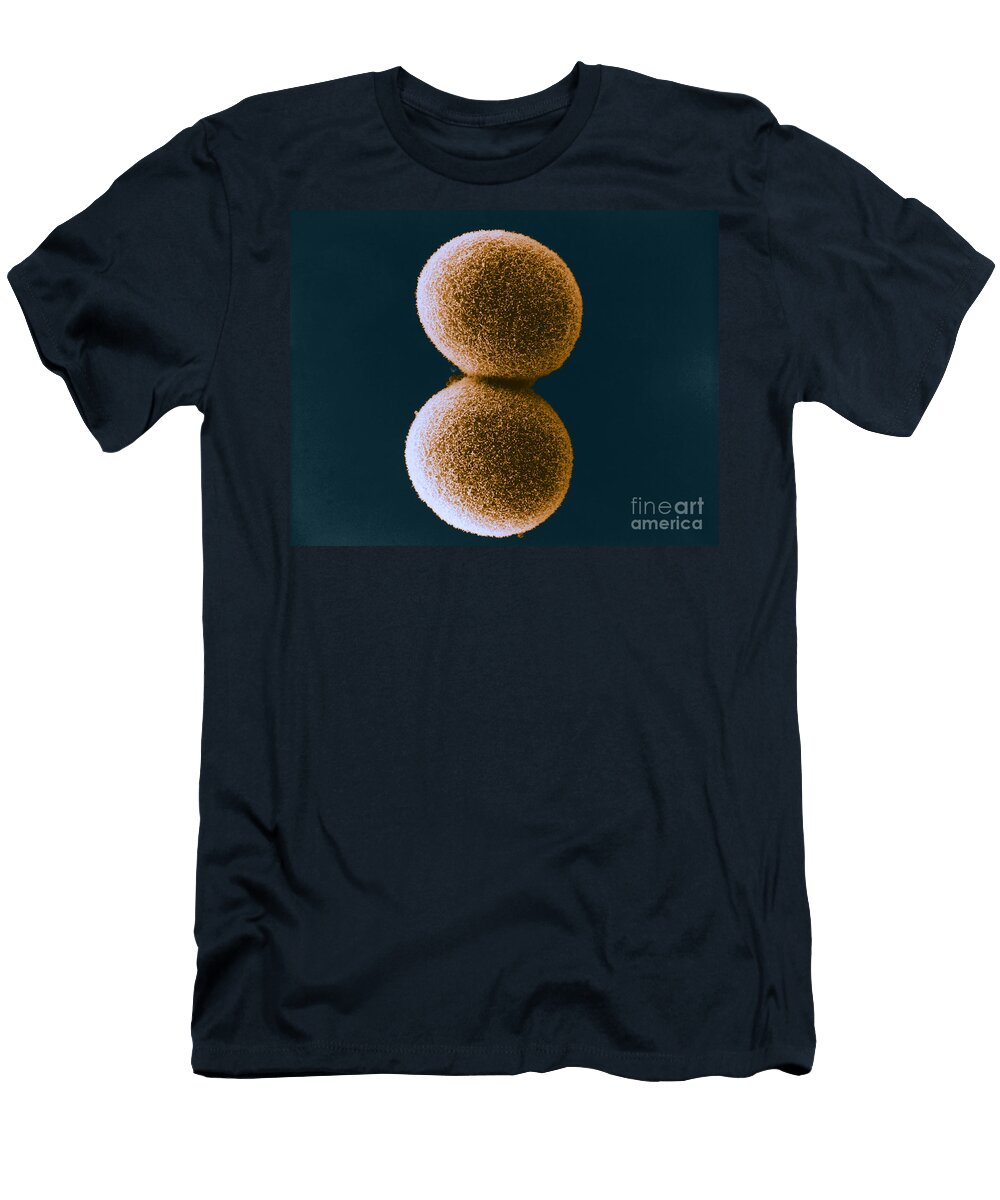 1 Cleavage in Embryo Sem David M Phillips T-Shirt