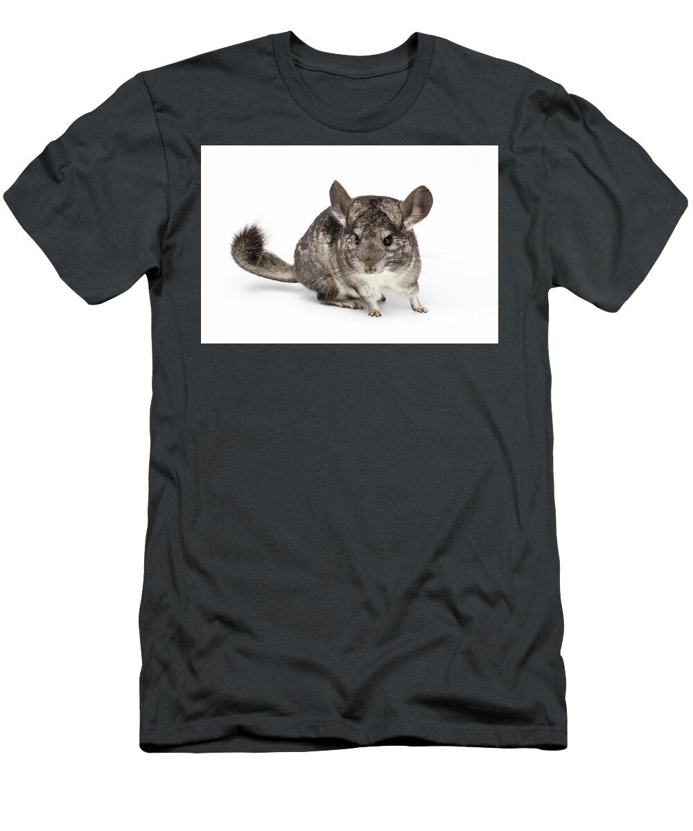 1 Closeup Chinchilla in Profile View on White Sergey Taran T-Shirt
