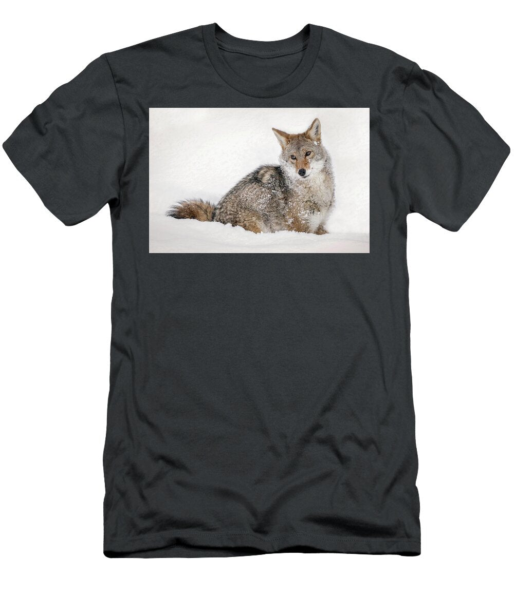 1 Coyote Athena Mckinzie T-Shirt