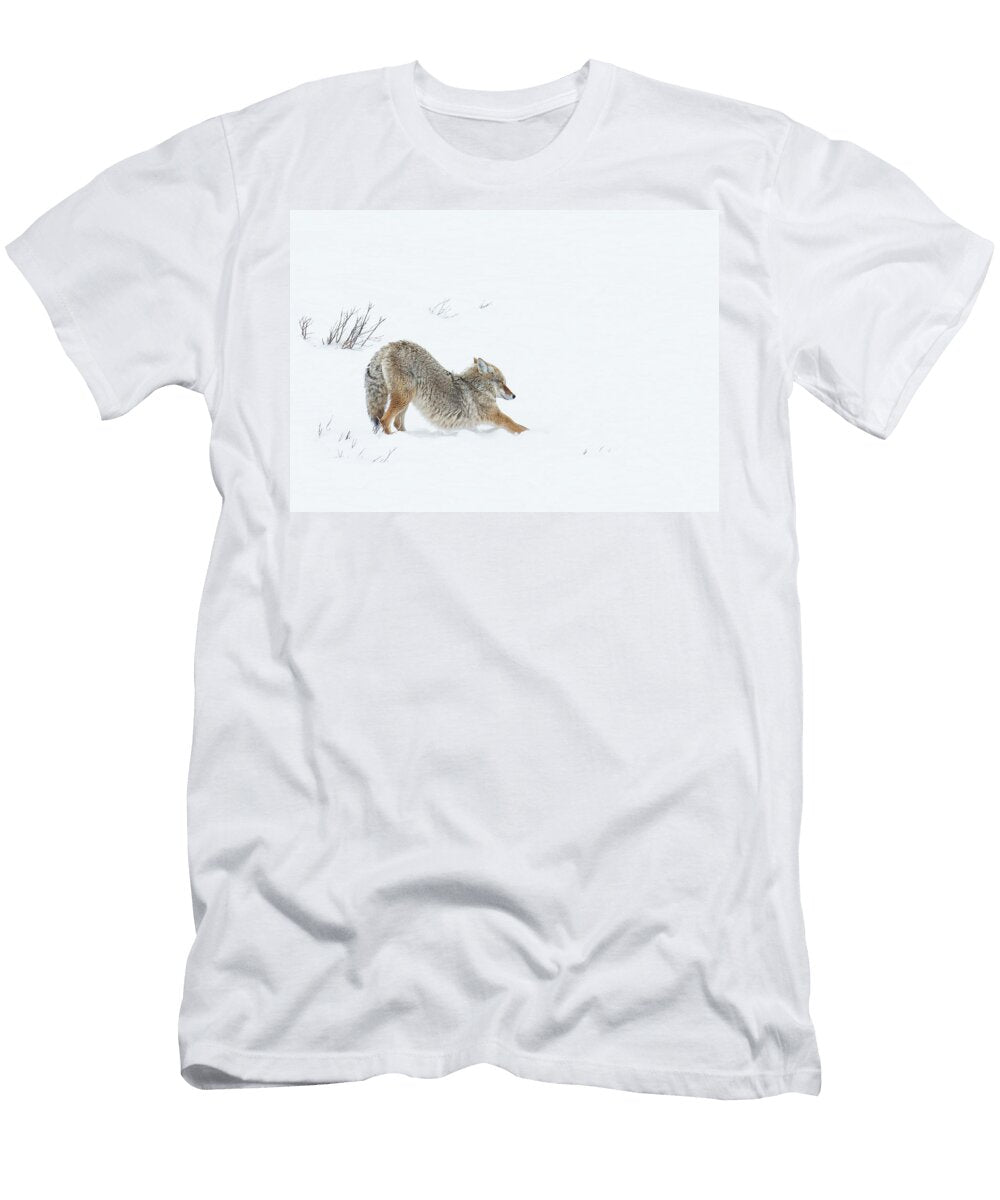 1 Coyote Canis Latrans Josh Miller T-Shirt