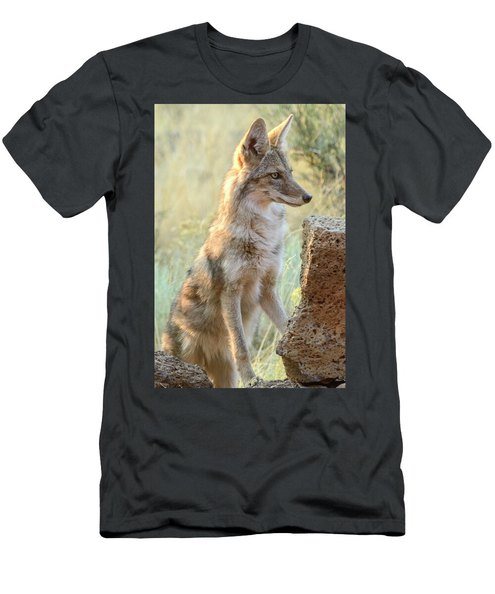 1 Coyote Christian Heeb T-Shirt