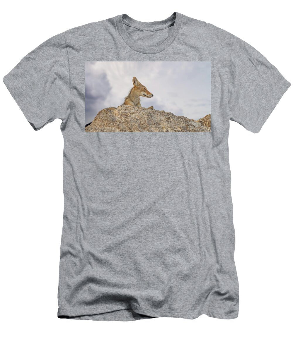 1 Coyote David C Vincent T-Shirt