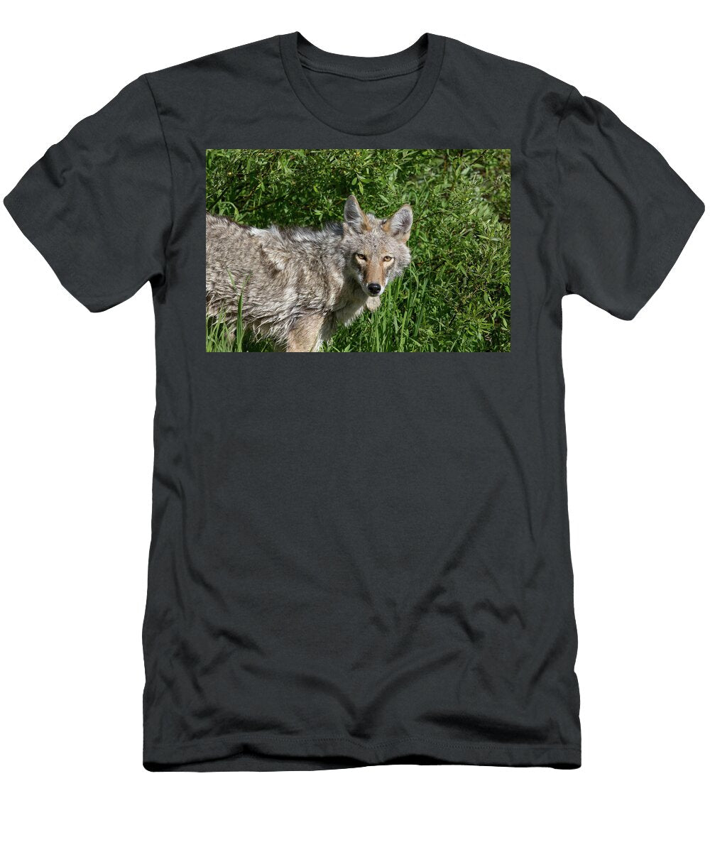 1 Coyote Eyes George Erwin Turner T-Shirt