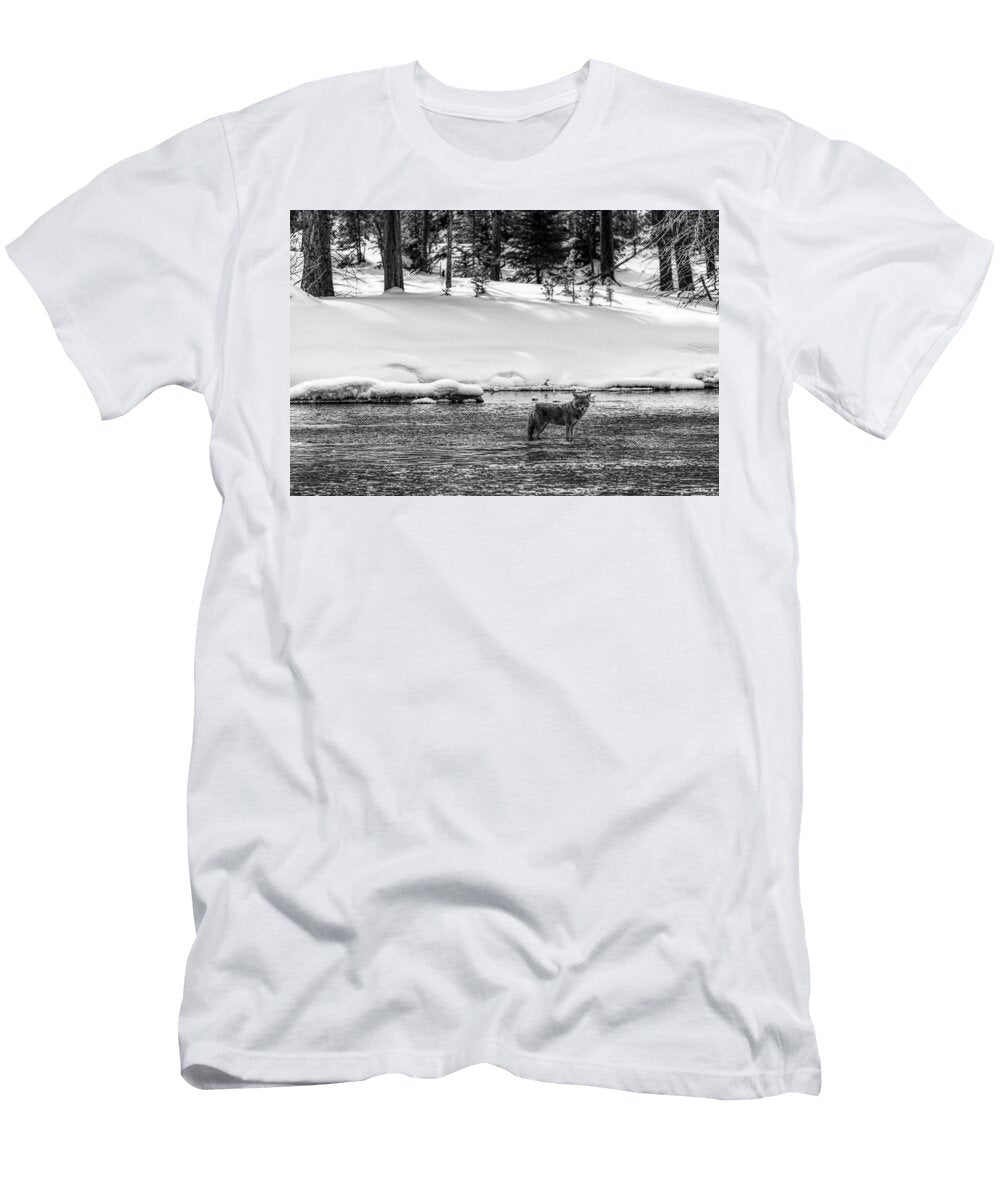 1 Coyote Fishing in the Madison River N P S Jacob W Frank T-Shirt