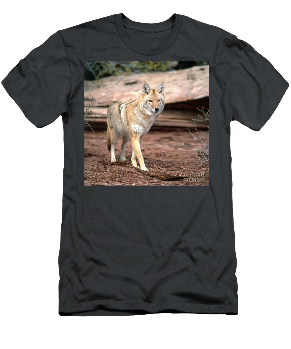 1 Coyote Hans Reinhard T-Shirt