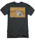 1 Coyote in Golden Field Amy Booth T-Shirt