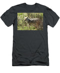 1 Coyote in Natural Habitat Paul Freidlund T-Shirt