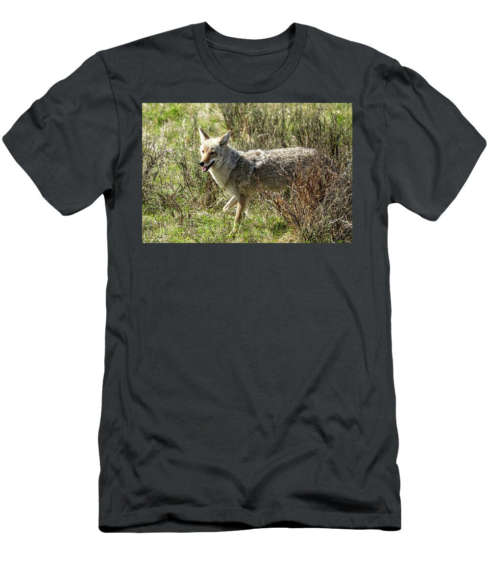 1 Coyote in Natural Habitat Paul Freidlund T-Shirt
