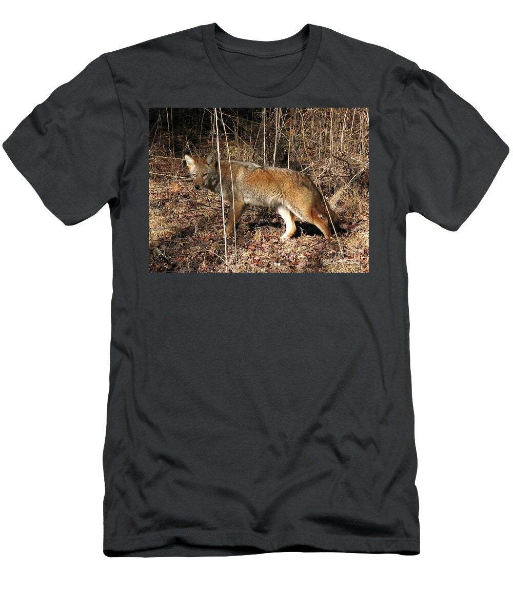 1 Coyote in the Cove Douglas Stucky T-Shirt