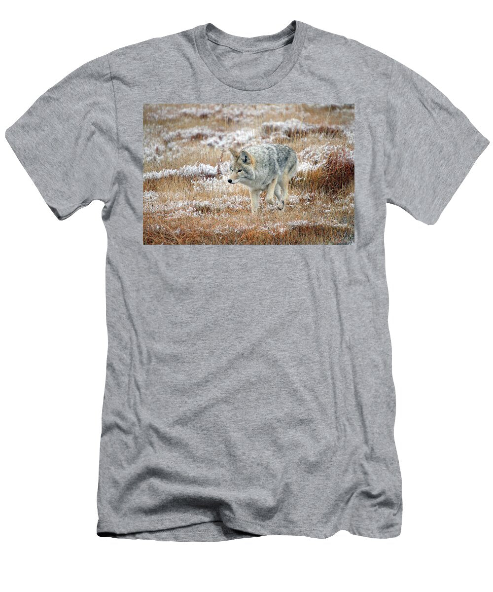 1 Coyote in Yellowstone National Park Pierre Leclerc T-Shirt