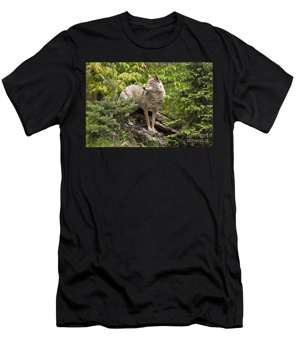 1 Coyote Linda Freshwaters Arndt T-Shirt