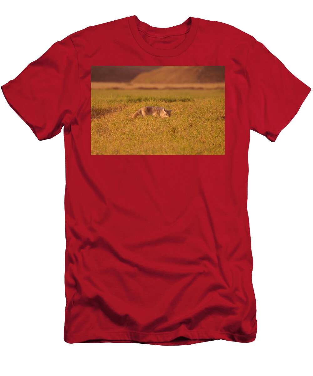 1 Coyote on the Prowl Jeff Swan T-Shirt