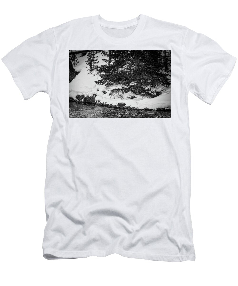 1 Coyote on the Prowl L O C T-Shirt