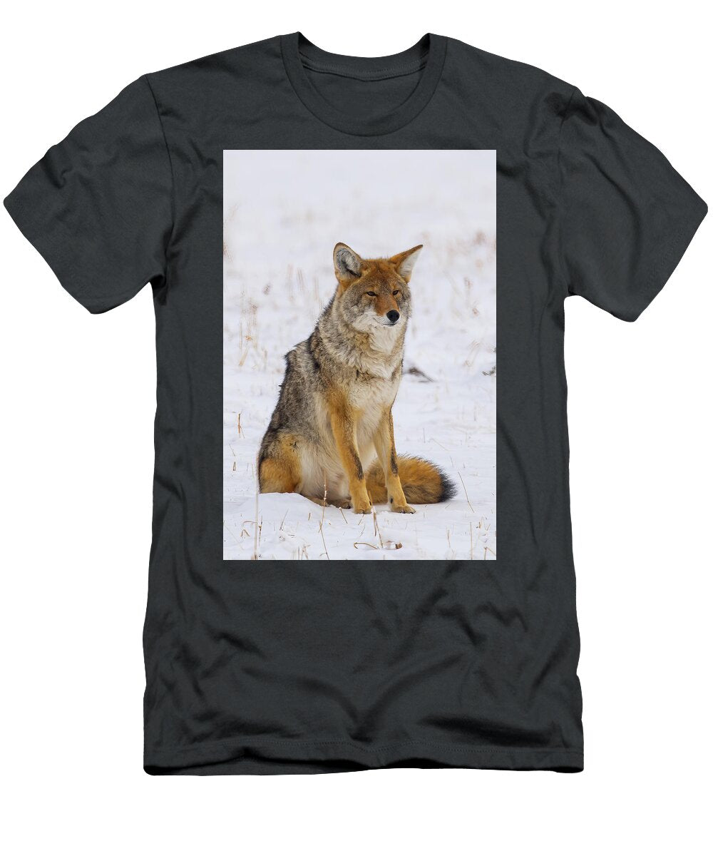 1 Coyote Paul Freidlund T-Shirt