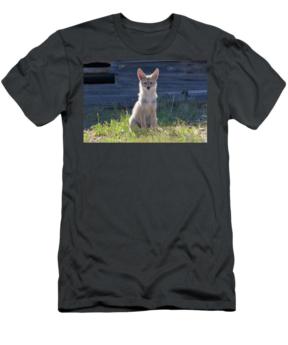 1 Coyote Pup Portrait Isabella Smedley T-Shirt