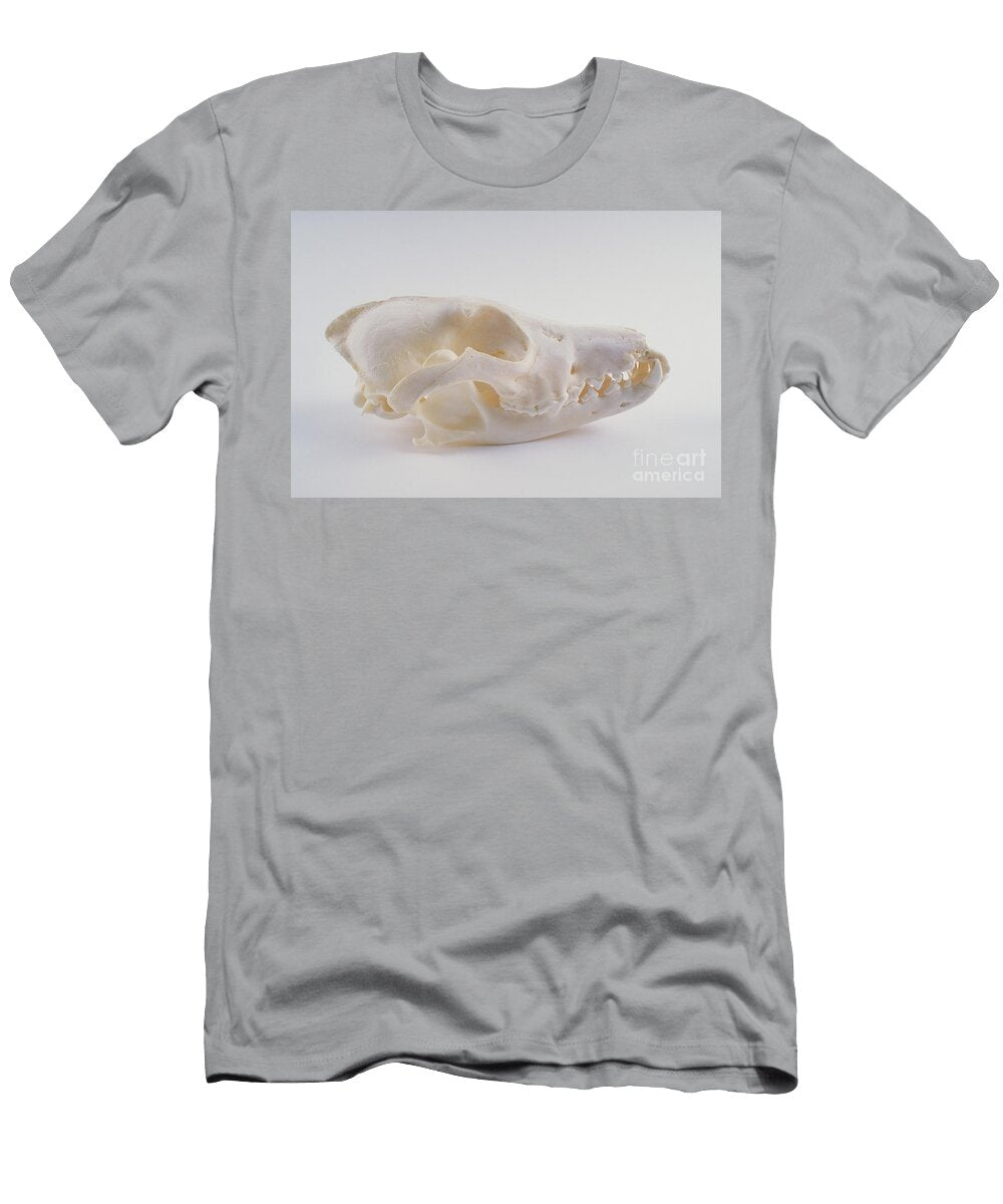 1 Coyote Skull Barbara Strnadova T-Shirt