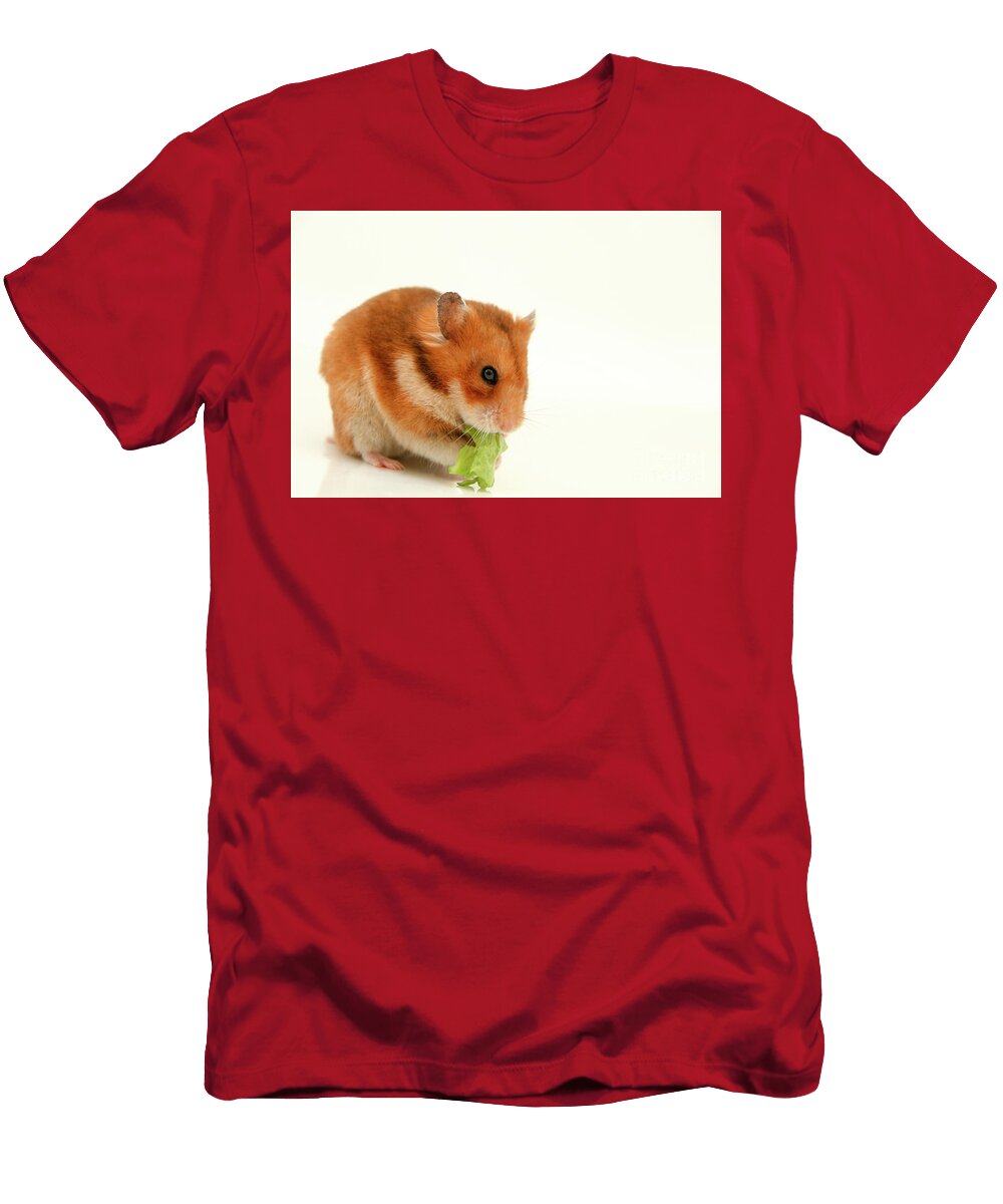1 Curious Hamster Yedidya Yos Mizrachi T-Shirt
