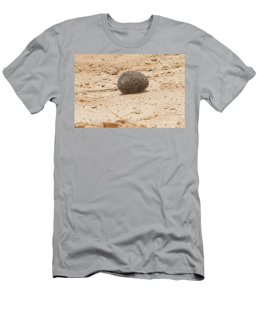 1 Desert Hedgehog Paraechinus Aethiopicus Eyal Bartov T-Shirt