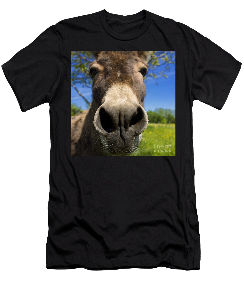 1 Donkey Bernard Jaubert T-Shirt
