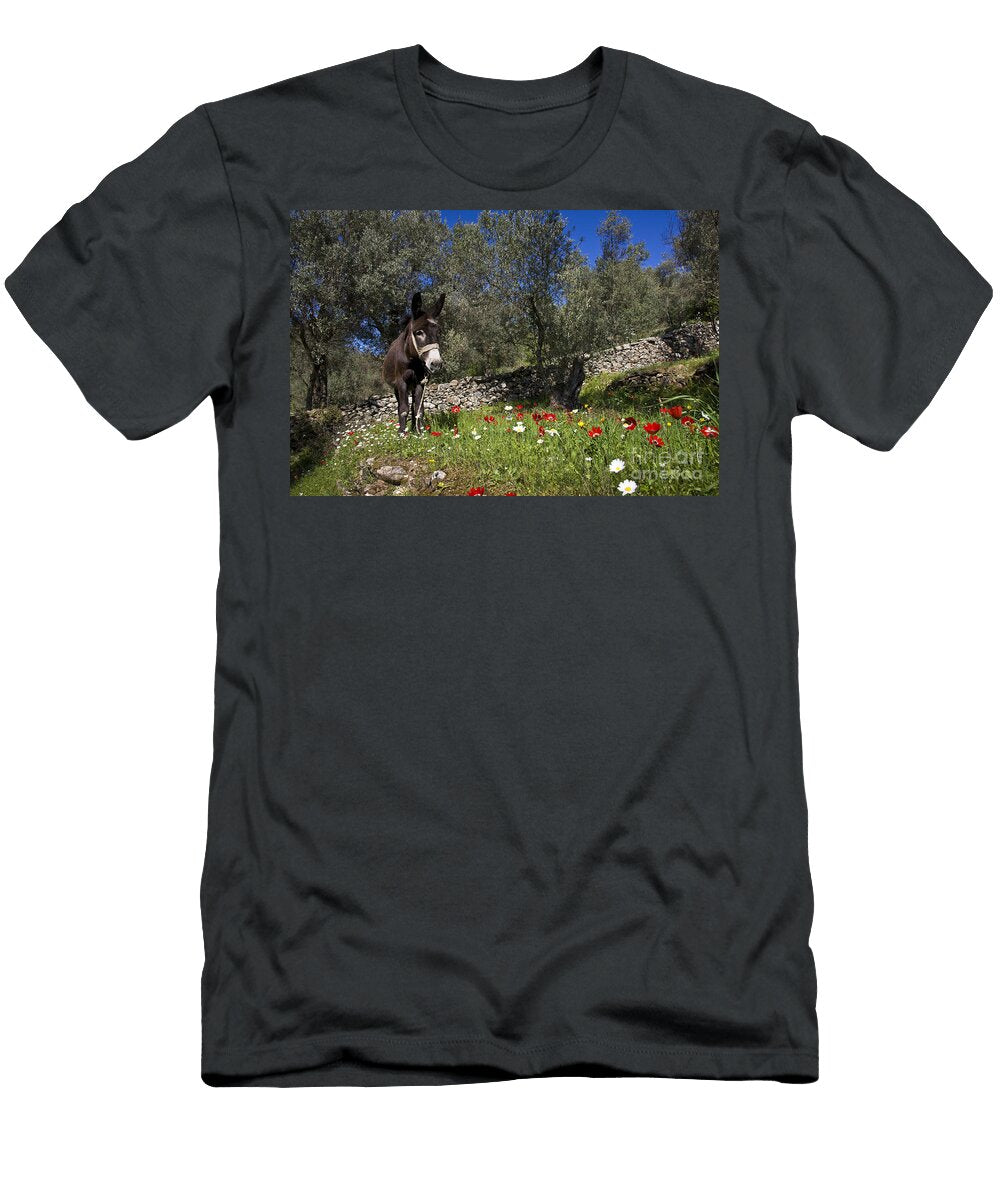 1 Donkey in Greece Jean Louis Klein Marie Luce Hubert T-Shirt