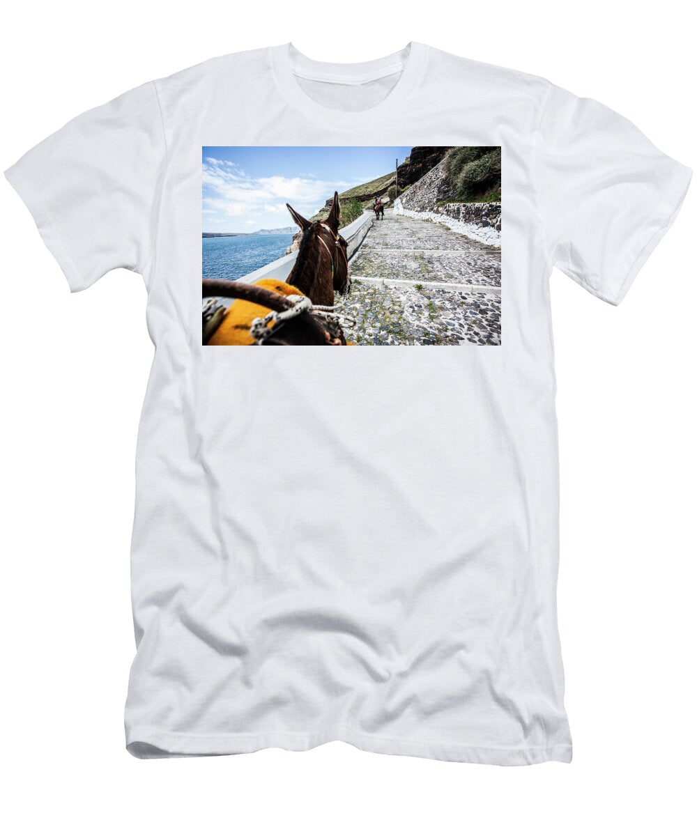 1 Donkey in Santorini Greece Tim Martin T-Shirt