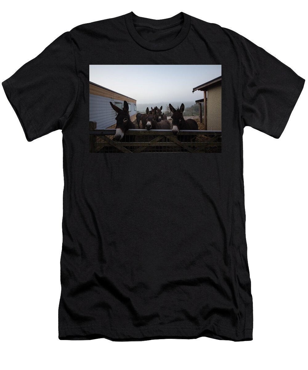 1 Donkeys Dawn Oconnor T-Shirt