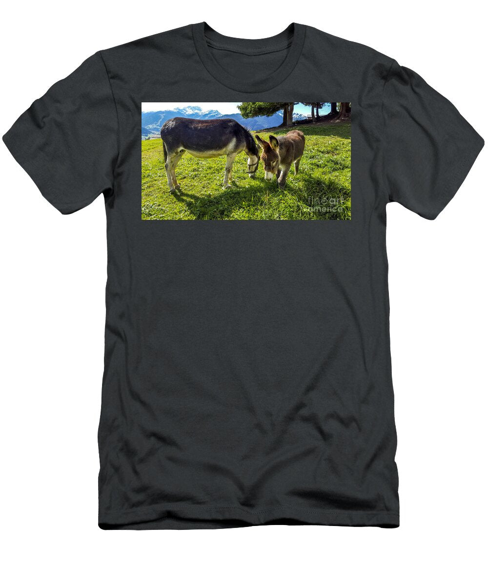 1 Donkeys in a Meadow Bernard Jaubert T-Shirt