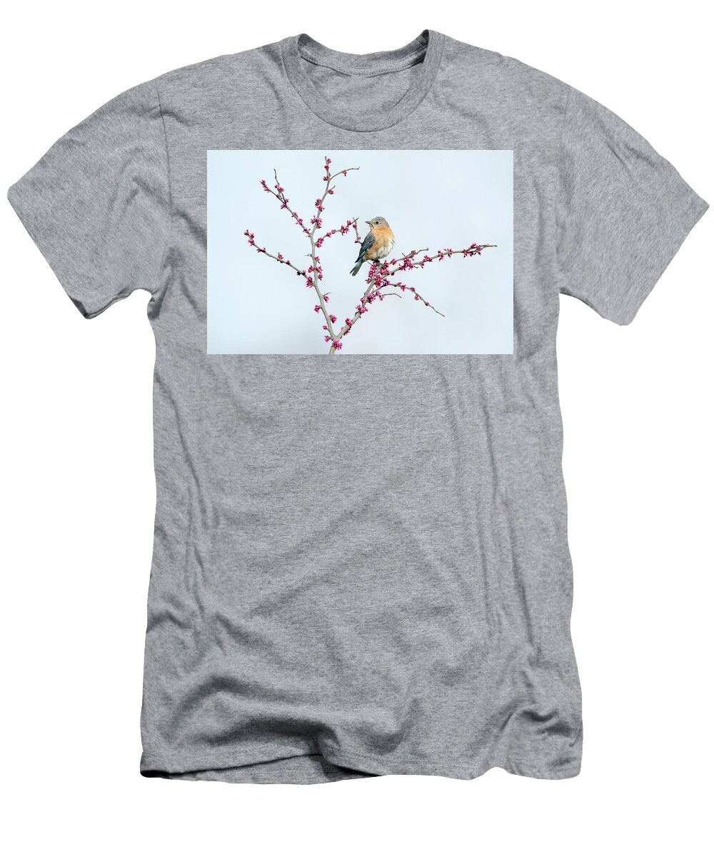 1 Eastern Bluebird 2026 03 Judy Tomlinson T-Shirt