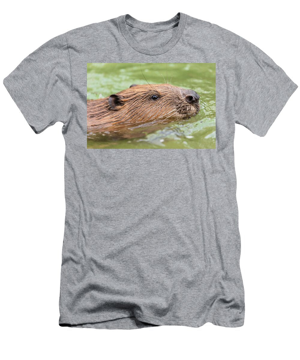 1 European Beaver Swimming Alhama River Ebro Valley Eduardo Blanco Natureplcom T-Shirt
