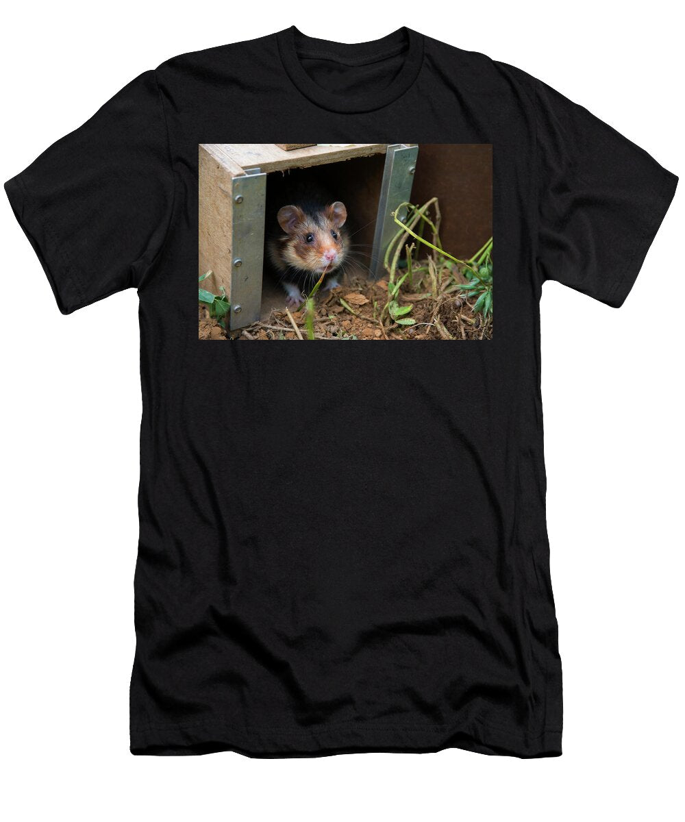 1 European Hamster Being Released in a Field Part of Edwin Giesbers Natureplcom T-Shirt