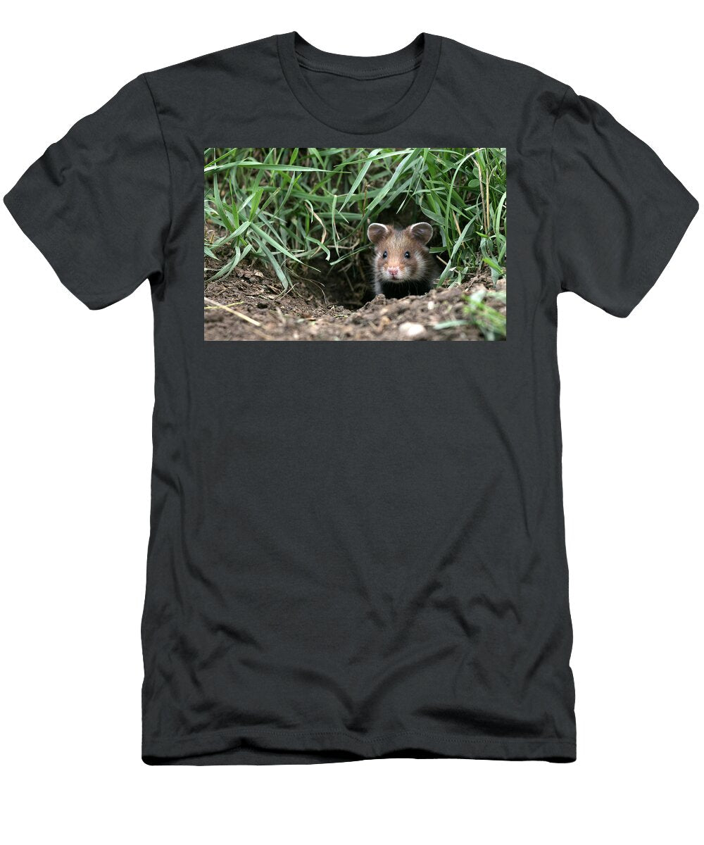 1 European Hamster M Watson T-Shirt