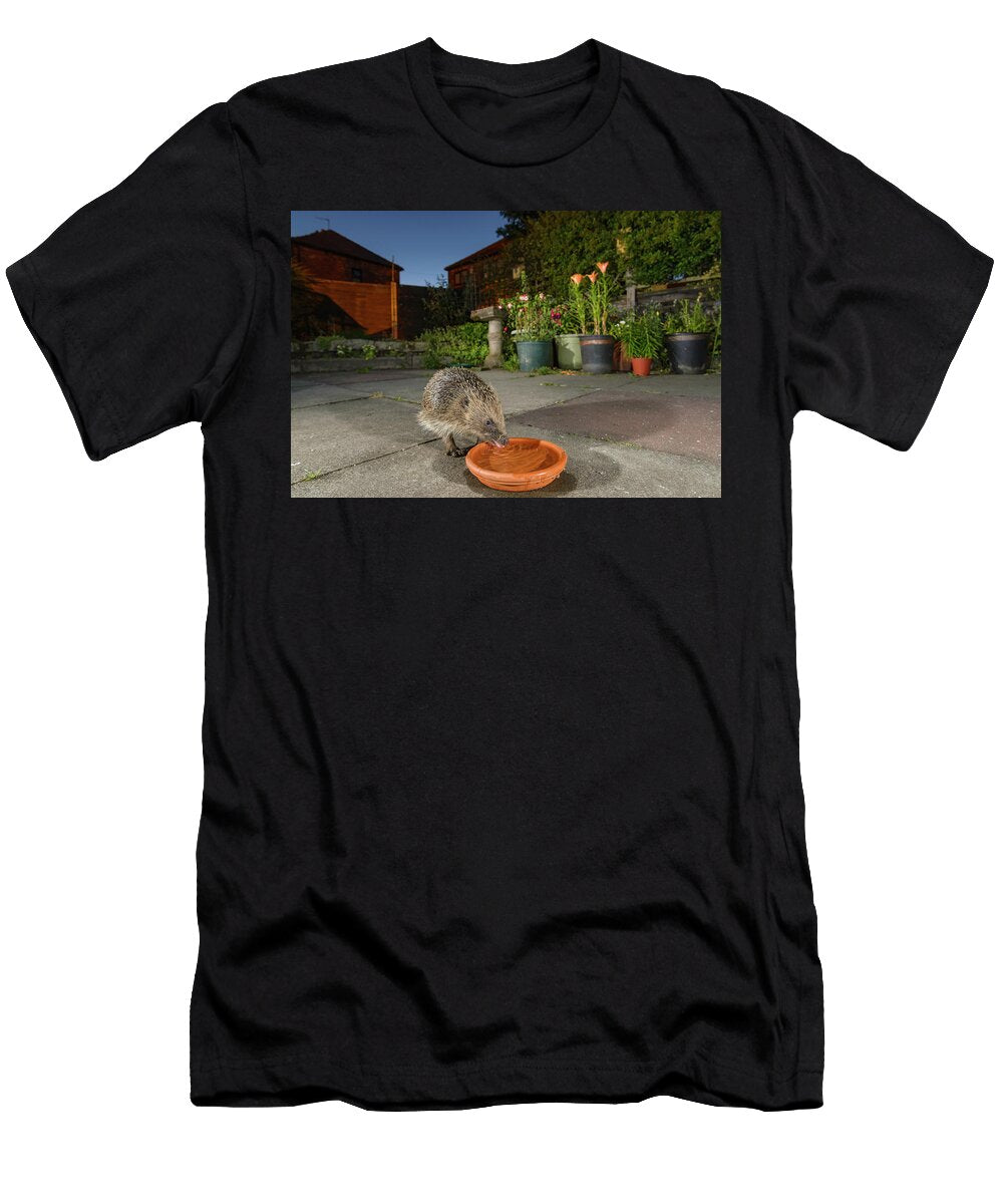 1 European Hedgehog Drinking From Bowl in Urban Garden Terry Whittaker Natureplcom T-Shirt