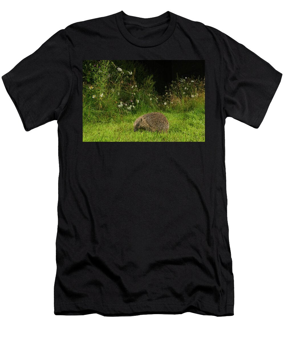 1 European Hedgehog Foraging At Night in an Urban Garden Terry Whittaker Natureplcom T-Shirt