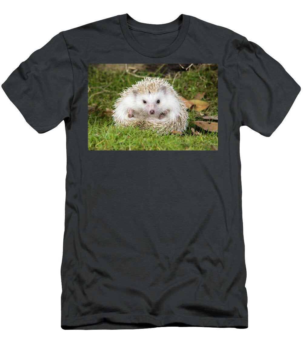 1 European Hedgehog John Daniels T-Shirt