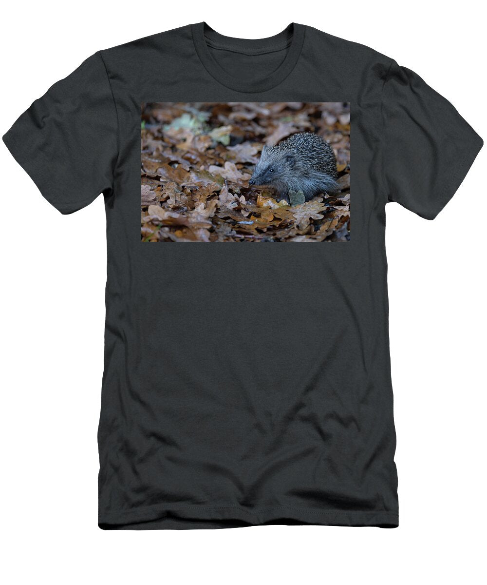 1 European Hedgehog Juvenile Foraging in Leaf Litter Robin Chittenden Natureplcom T-Shirt
