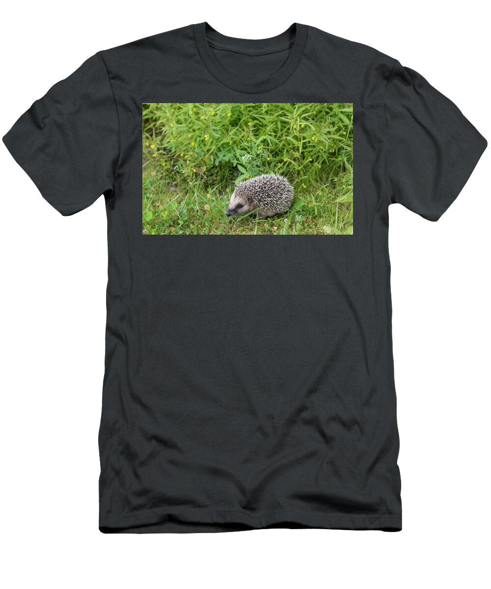 1 European Hedgehog Juvenile Jyvaskyla Central Finland Jussi Murtosaari Natureplcom T-Shirt
