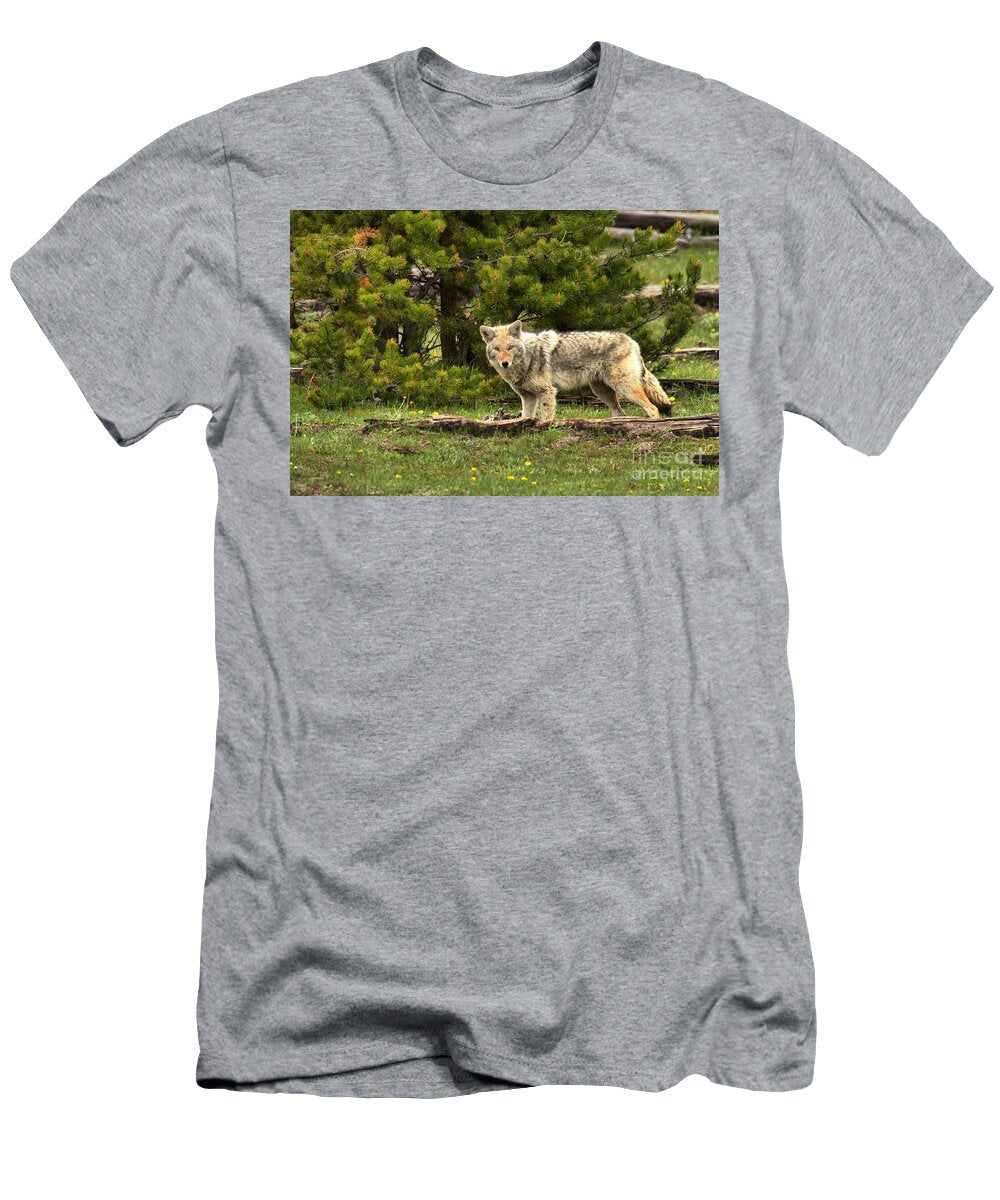 1 Eyeing the Landscape Adam Jewell T-Shirt